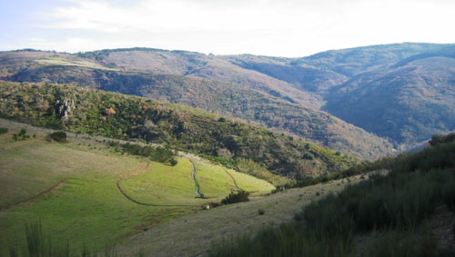 Socio-ecological Systems